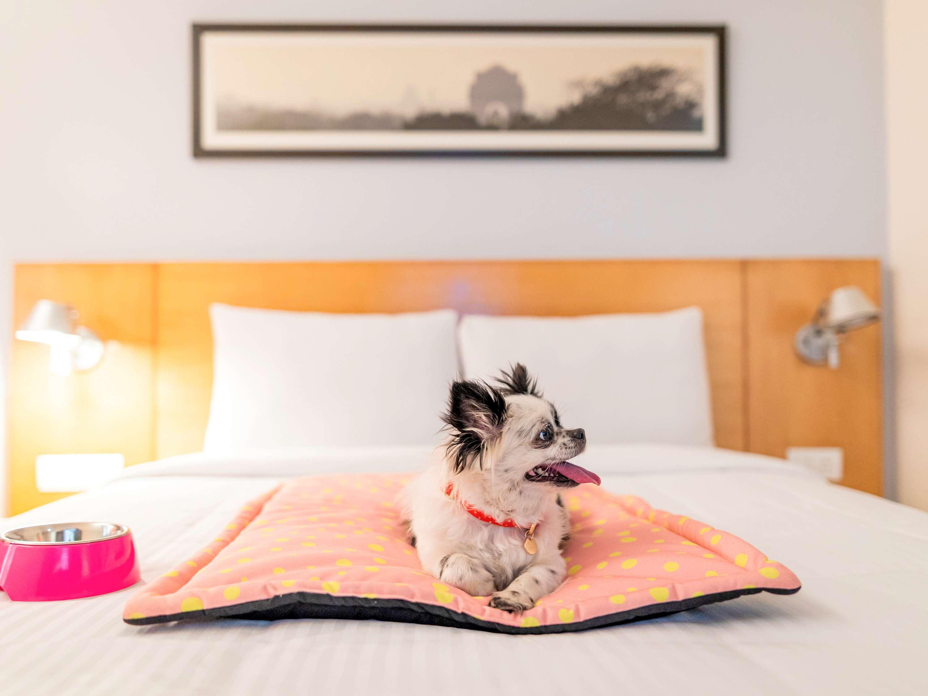 Ibis Bengaluru Hosur Road - An Accor Brand Hotell Eksteriør bilde