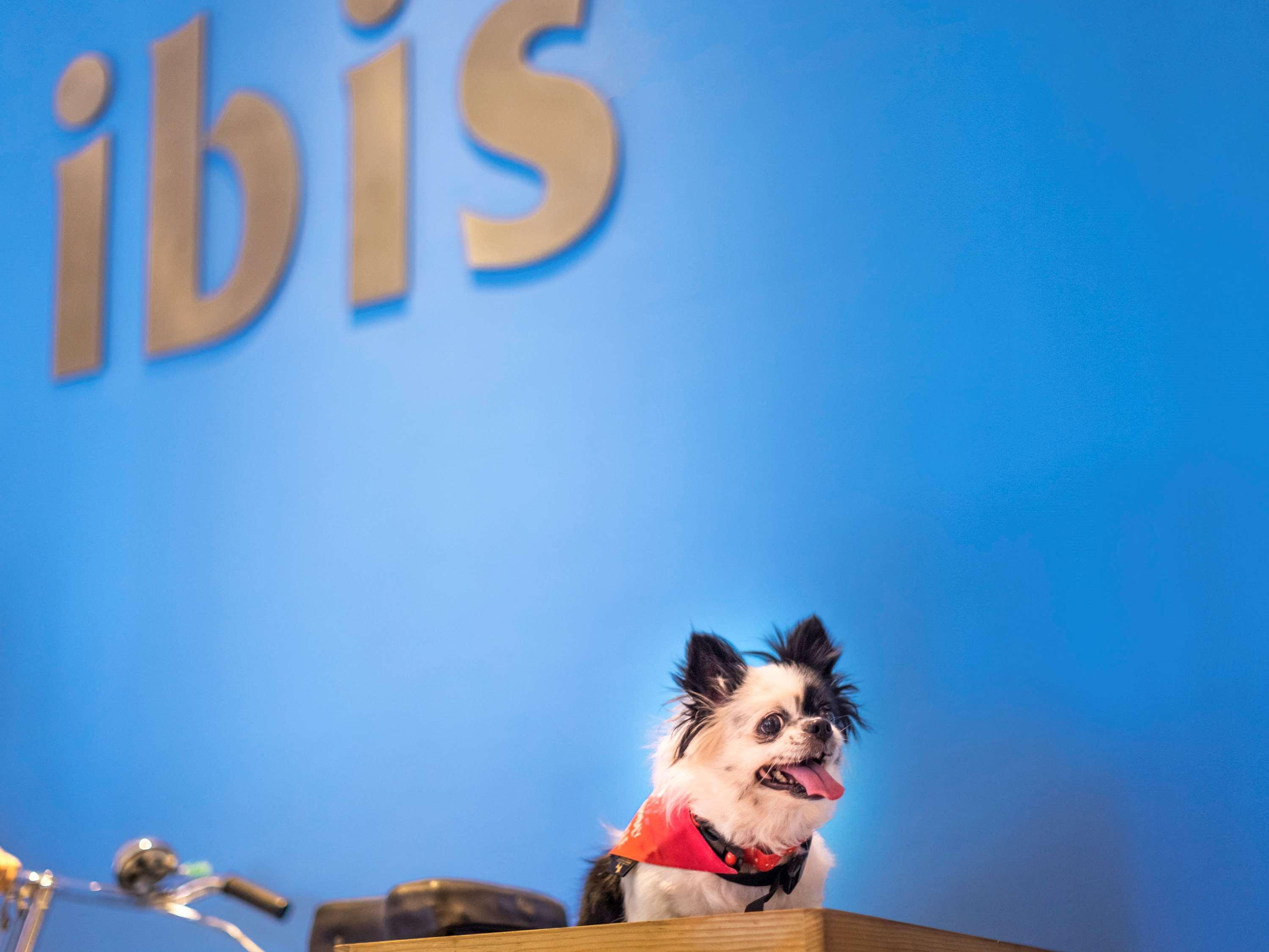 Ibis Bengaluru Hosur Road - An Accor Brand Hotell Eksteriør bilde